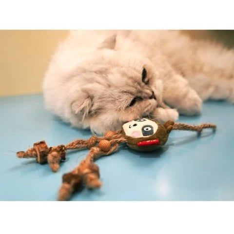  Đồ chơi Gigwi dành cho mèo Eco 