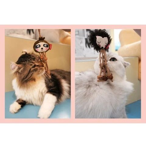  Đồ chơi Gigwi dành cho mèo Eco 