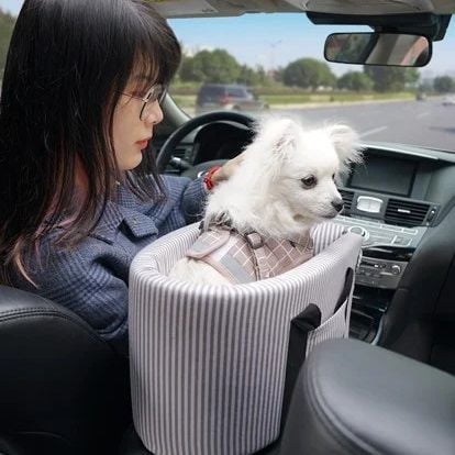  Túi địu gắn xe hơi BLOBLO 