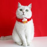  Vòng cổ bông năm mới 