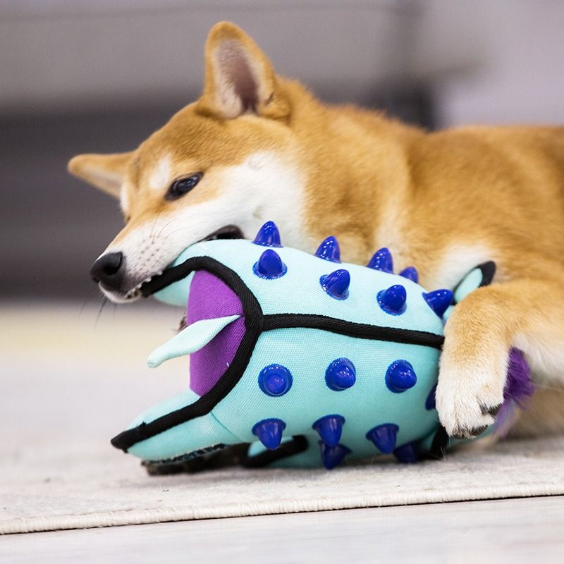  Thú bông khủng long cho chó 