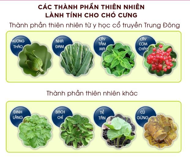  Dầu gội trị viêm da cho chó Budle'Budle 