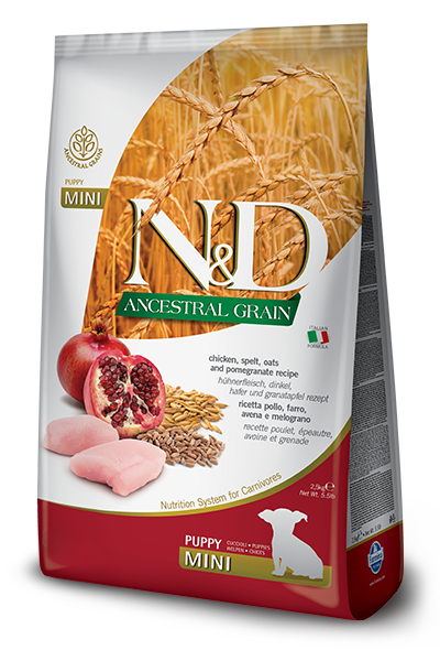  Hạt N&D ANCESTRAL GRAIN cho chó 2.5KG 