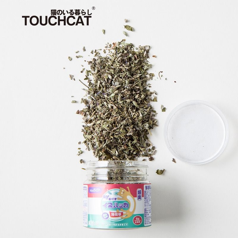  Catnip hủ 6gram Touchcat 