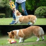  Đồ chơi  Gigwi thú bông gặm size lớn cho chó 