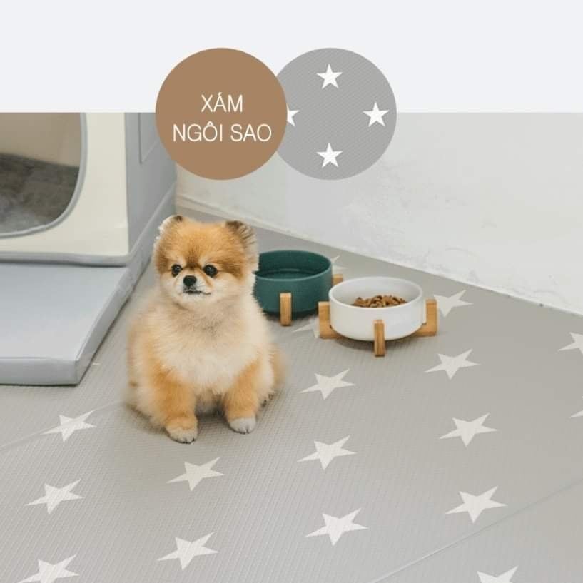  Thảm nhảy chống trượt Dfang 