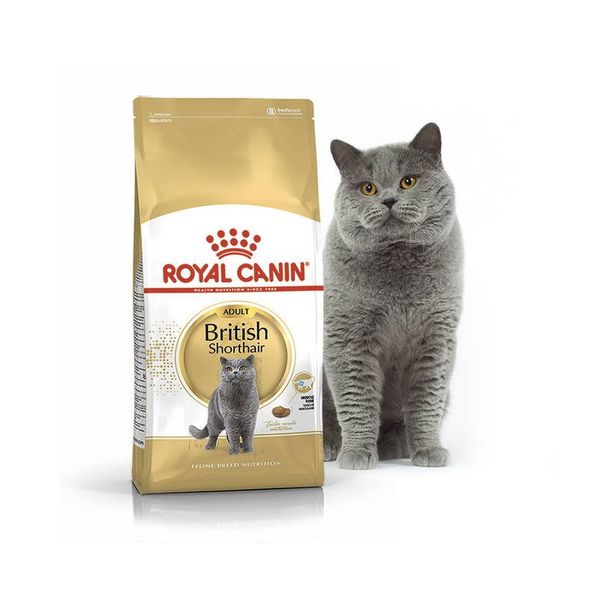  Hạt cho mèo Anh Lông Ngắn - British Shorthair Royal Canin 2kg 