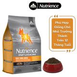  Thức ăn hạt dành cho chó size nhỏ Nutrience Infusion Adult Small Breed 