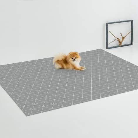  Thảm nhảy chống trượt Dfang 