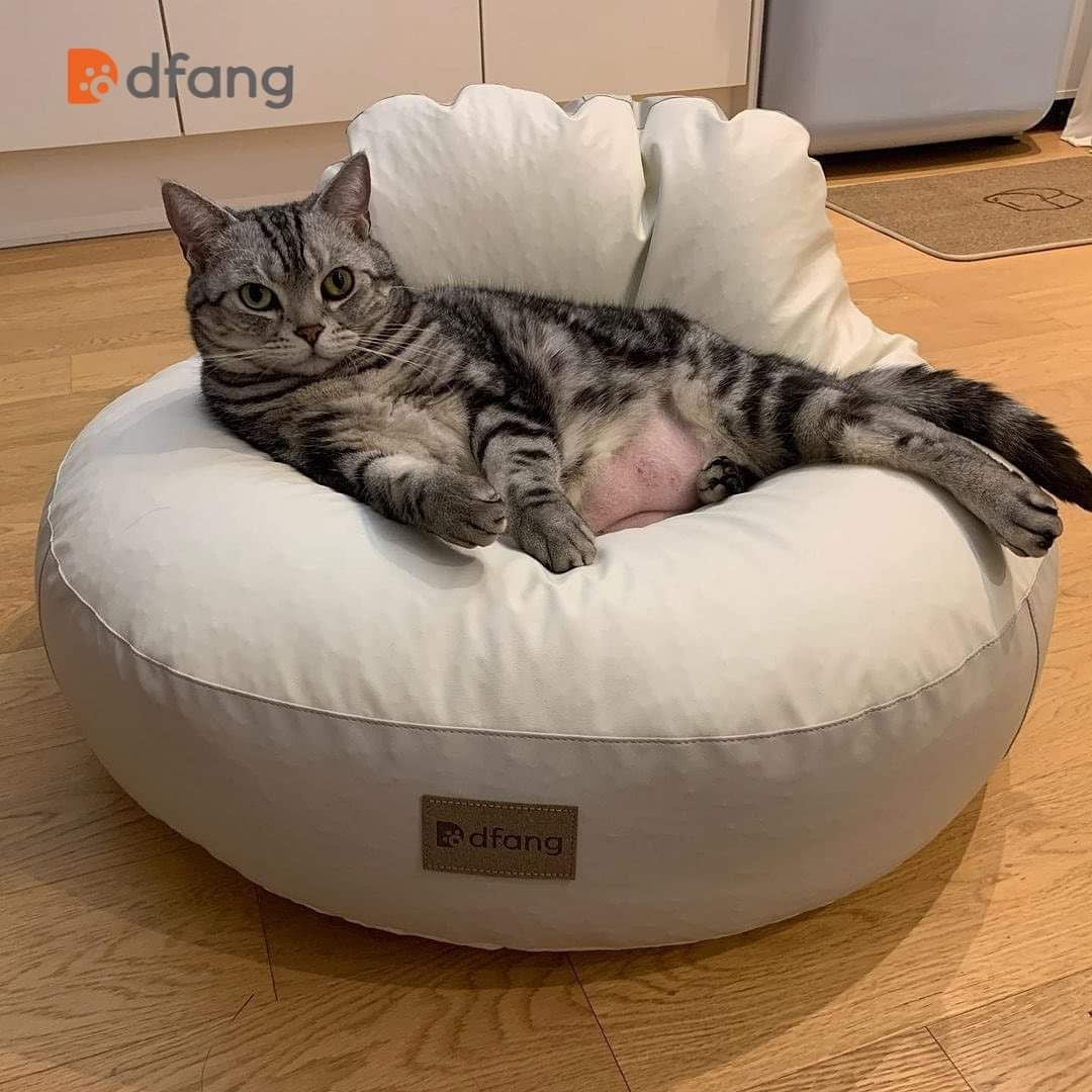  Ghế lười chống thấm nước cho chó mèo Dfang Bean Bags 
