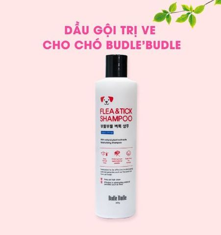 Trị ve rận bọ chét cho chó