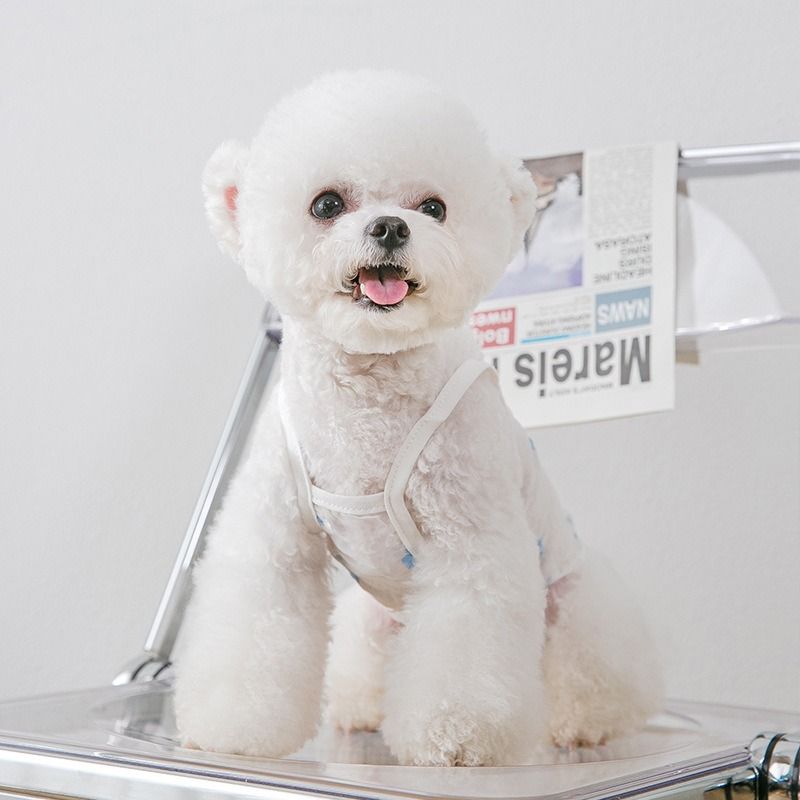  Áo lưới hoa trắng xanh 