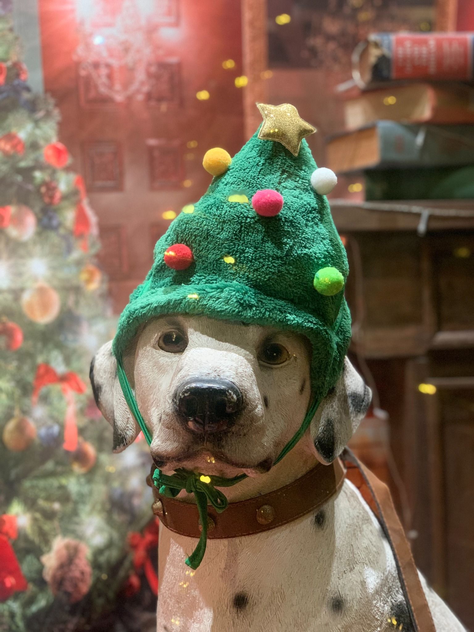  Nón len hình cây thông Noel cho thú cưng 