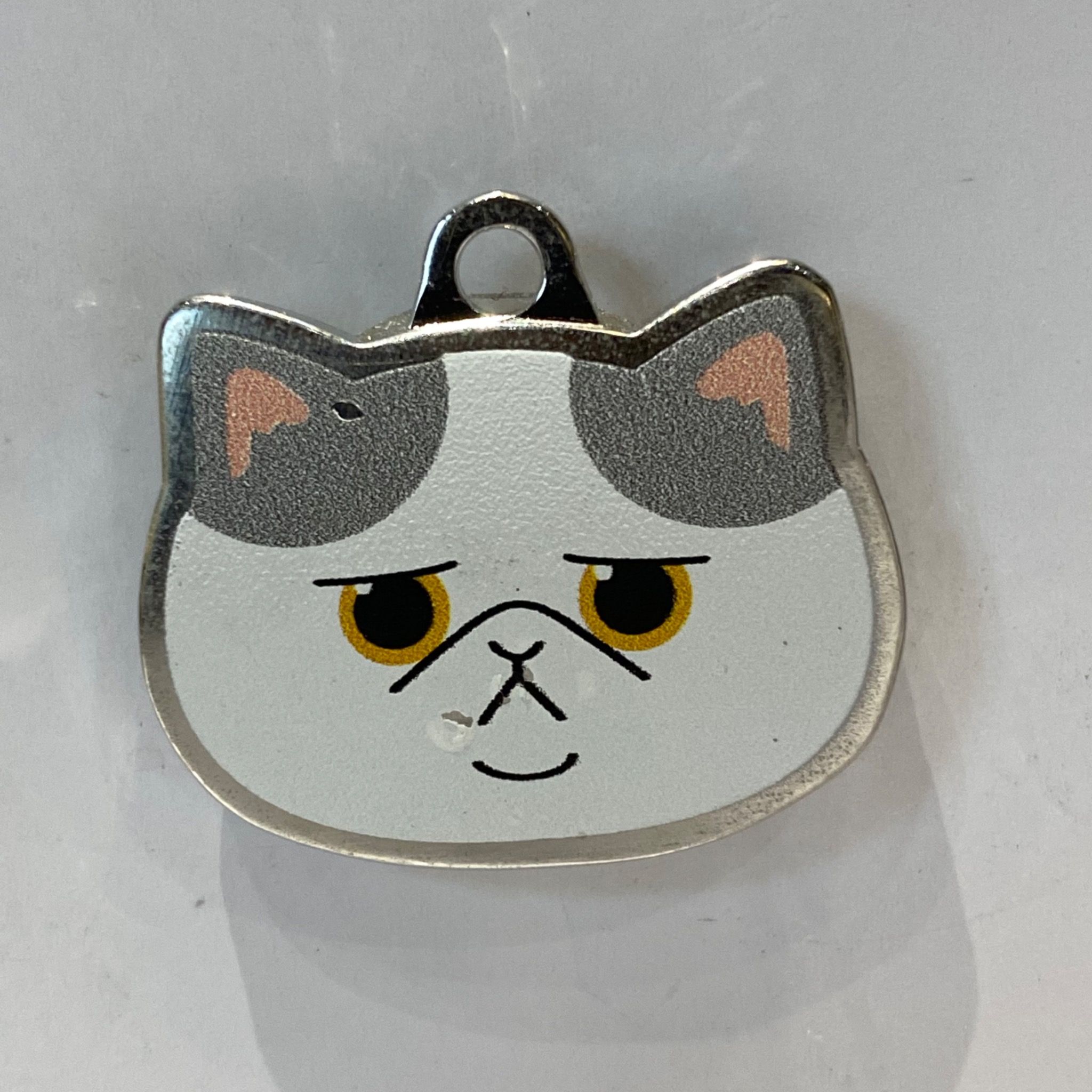  Nametag Ba Tư Của Mèo (Inox) 