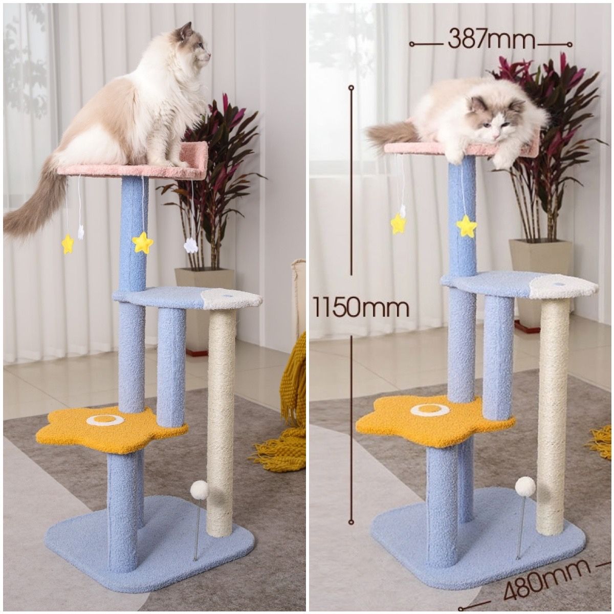  Catree 3 tầng hình cá sao 