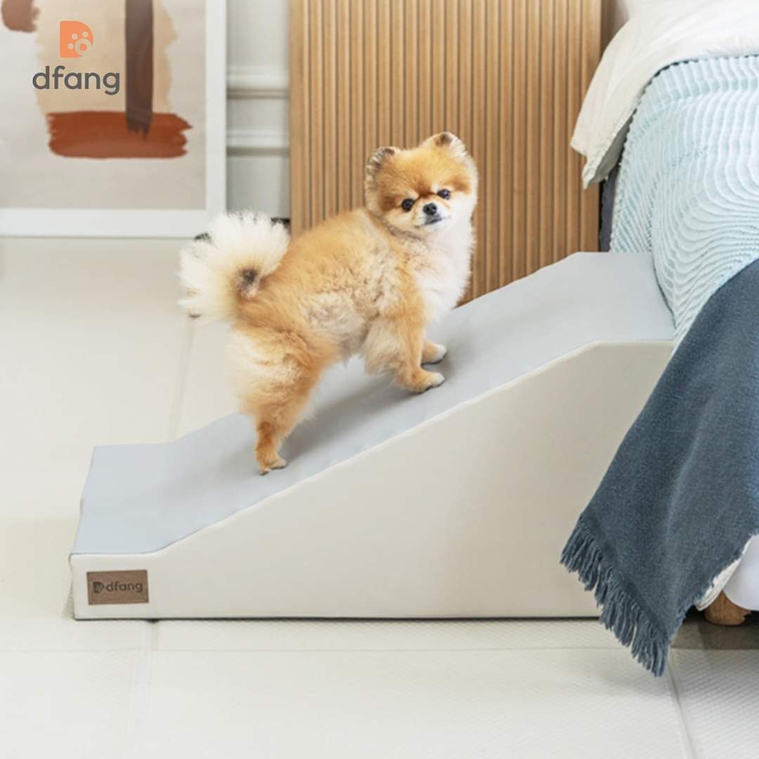  Bậc thang chống trượt cho thú cưng Dfang 