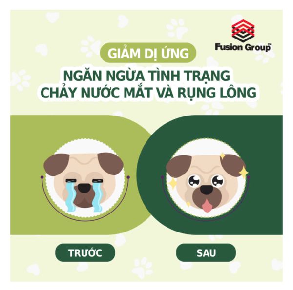  Hạt Wellsome cho chó 100% protein côn trùng 