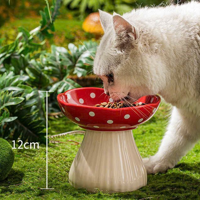  Chén sứ hình nấm chấm bi nhiều màu 