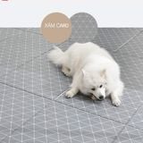  Thảm nhảy chống trượt Dfang 