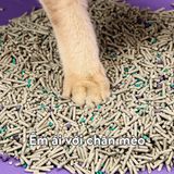  Cát vệ sinh hỗn hợp cho mèo PETKIT 