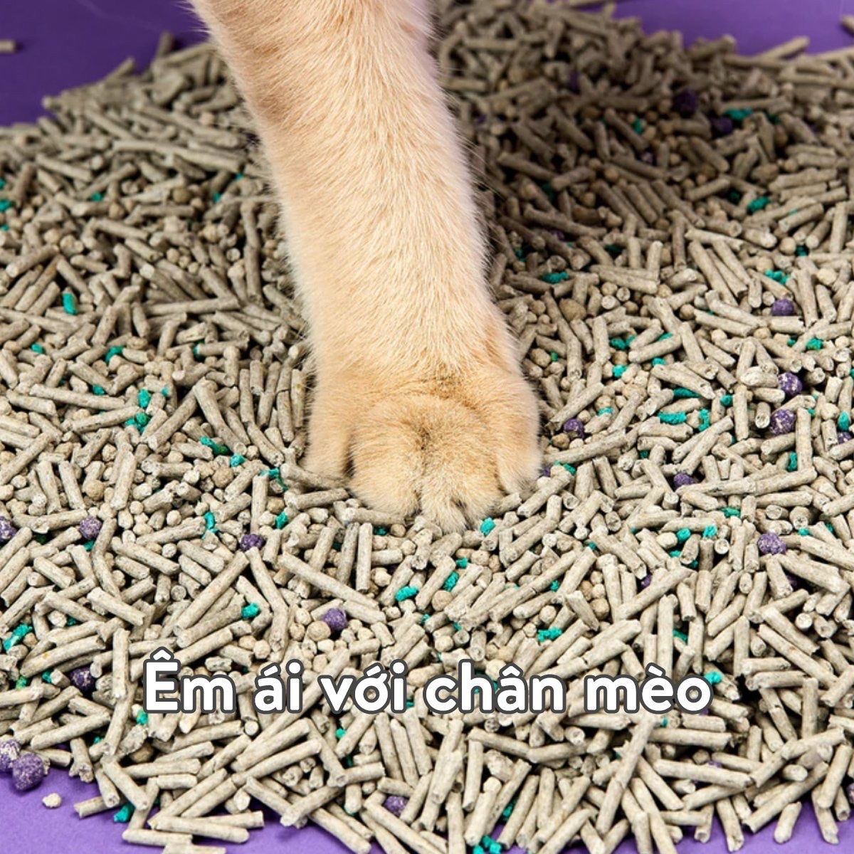  Cát vệ sinh hỗn hợp cho mèo PETKIT 