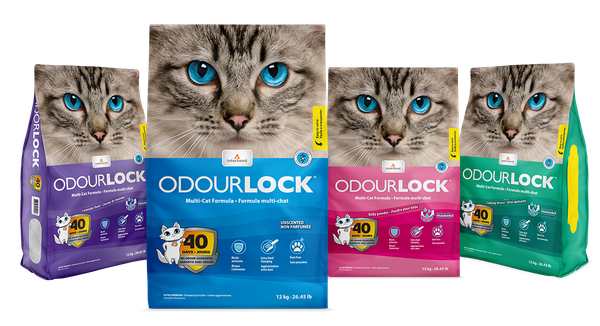  Cát Vệ Sinh Cao Cấp Cho Mèo Odourlock - 12KG 