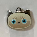  Nametag Birman (Xiêm Myanmar) Của Mèo (Inox) 