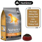  Thức ăn hạt dành cho chó trung bình - lớn Nutrience Infusion Healthy Adult 
