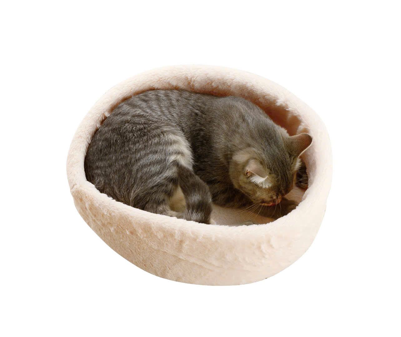  Lồng vận chuyển thú cưng phi hành gia size M Richell 