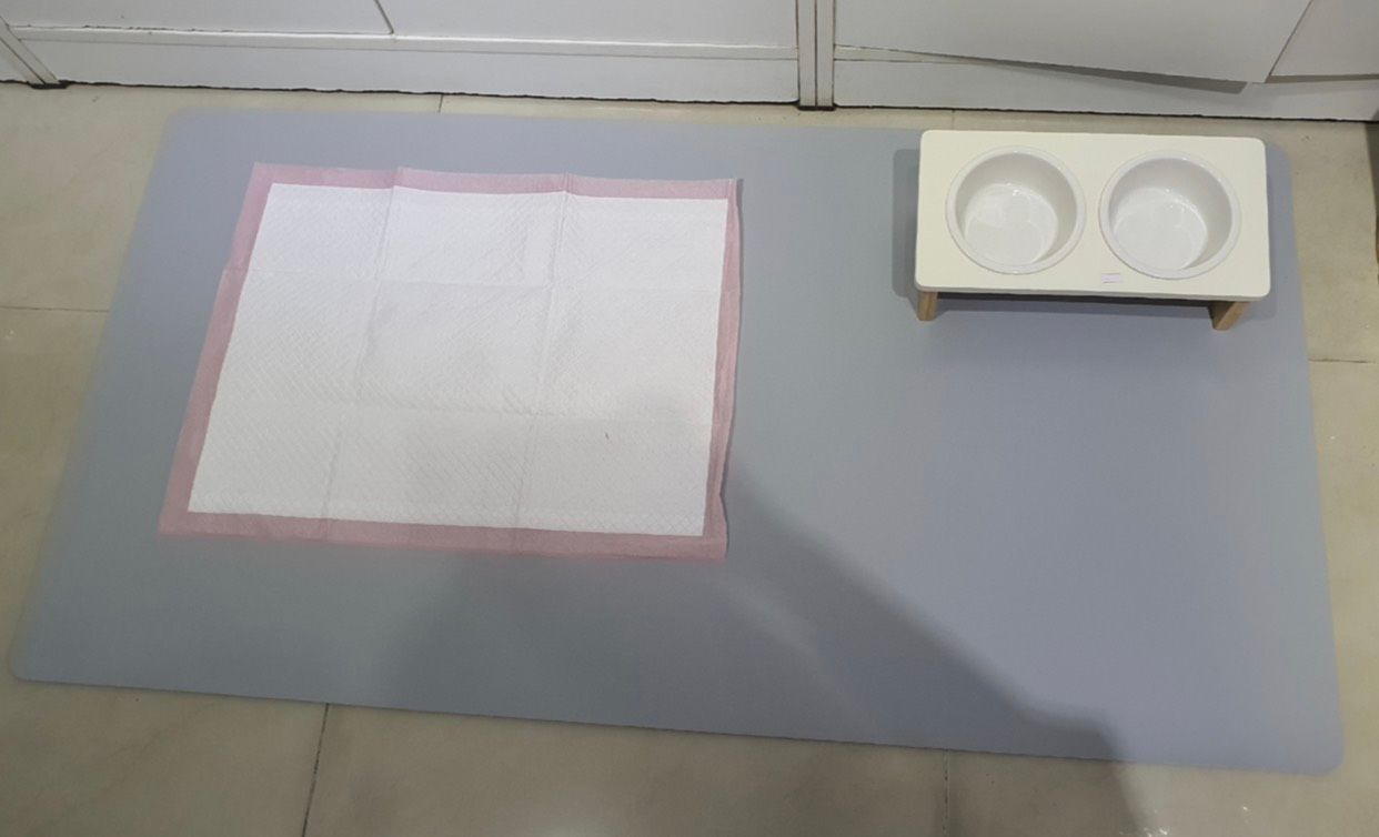  Thảm vệ sinh cho thú cưng DFANG 