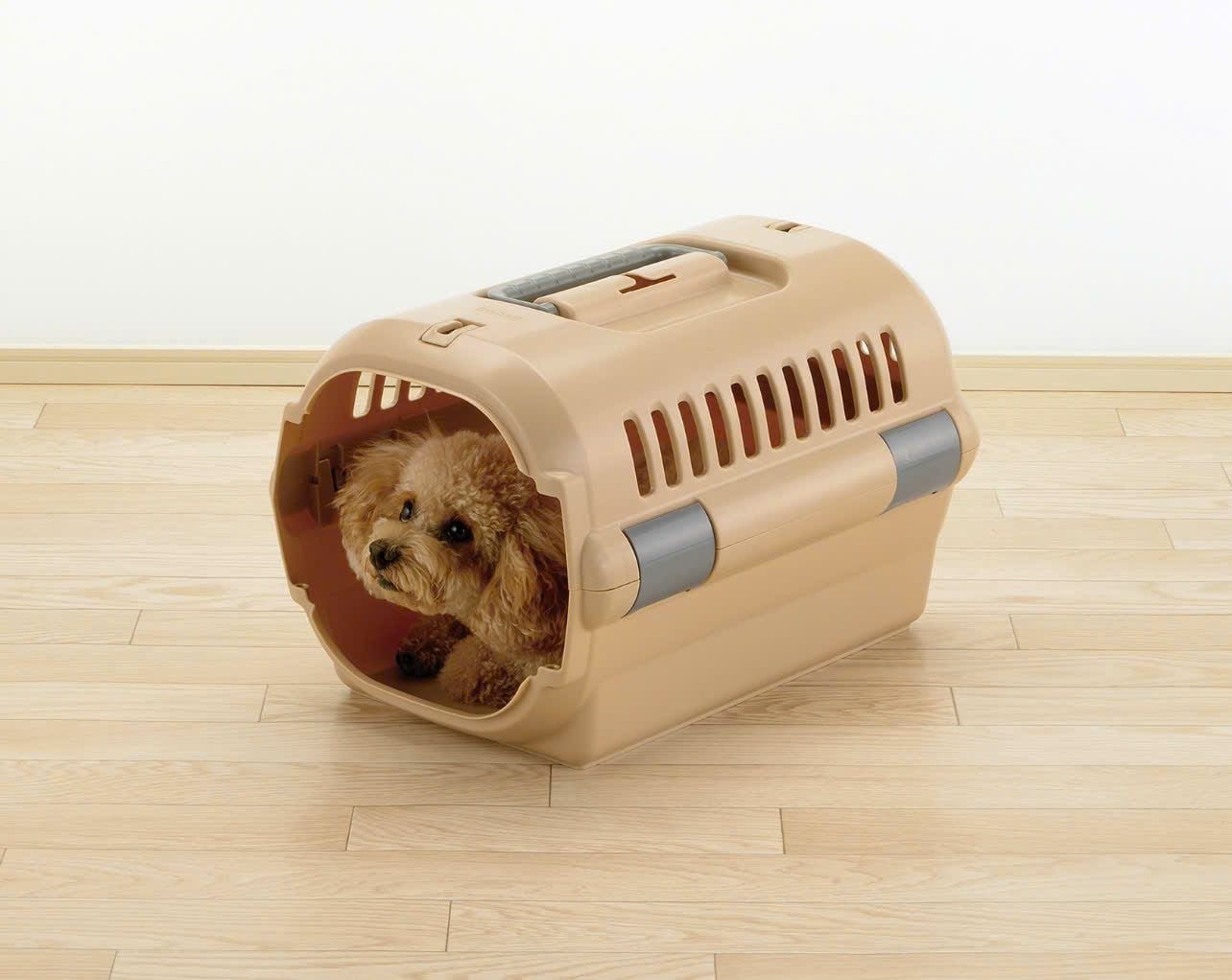  Lồng vận chuyển thú cưng size M Richell 