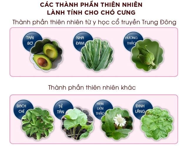  Dầu gội trị ve cho chó Budle'Budle 