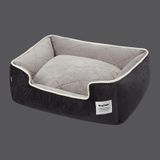  Nệm vuông Dogtalk nhiều màu 
