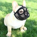  Rọ lưới cho chó mõm ngắn 