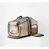  Balo mở rộng Pidan 