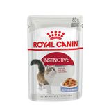  Pate Instinctive Royal Canin cho mèo 