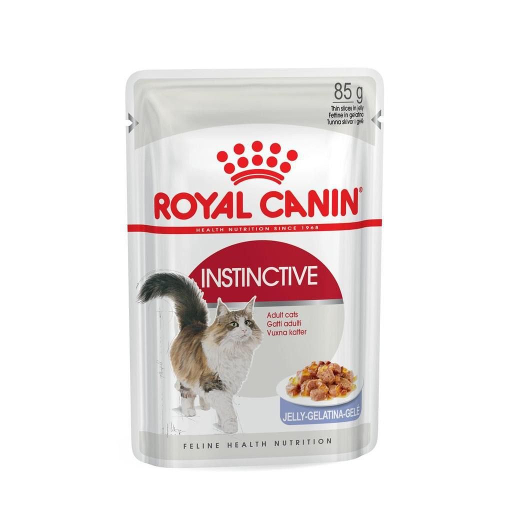  Pate Instinctive Royal Canin cho mèo 