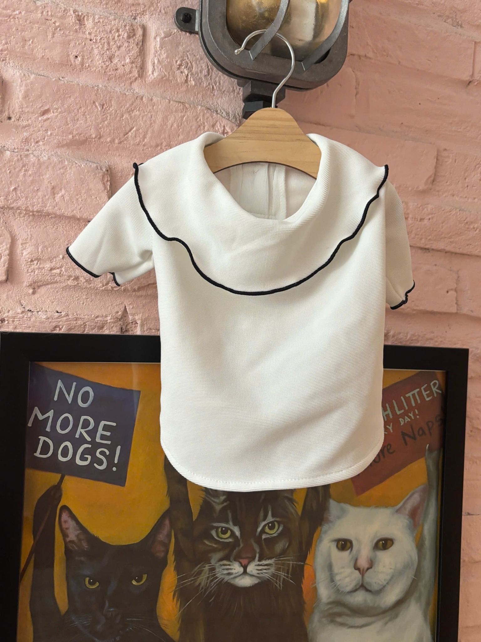  Áo White T-shirt w Black Border 