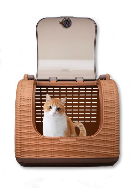  Lồng vận chuyển thú cưng giả mây đan Richell 