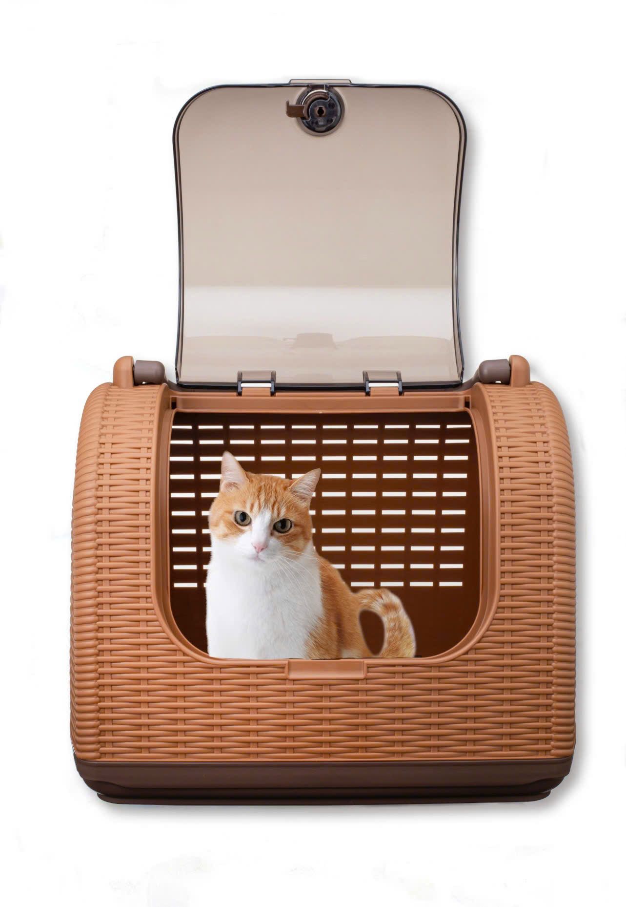  Lồng vận chuyển thú cưng giả mây đan Richell 