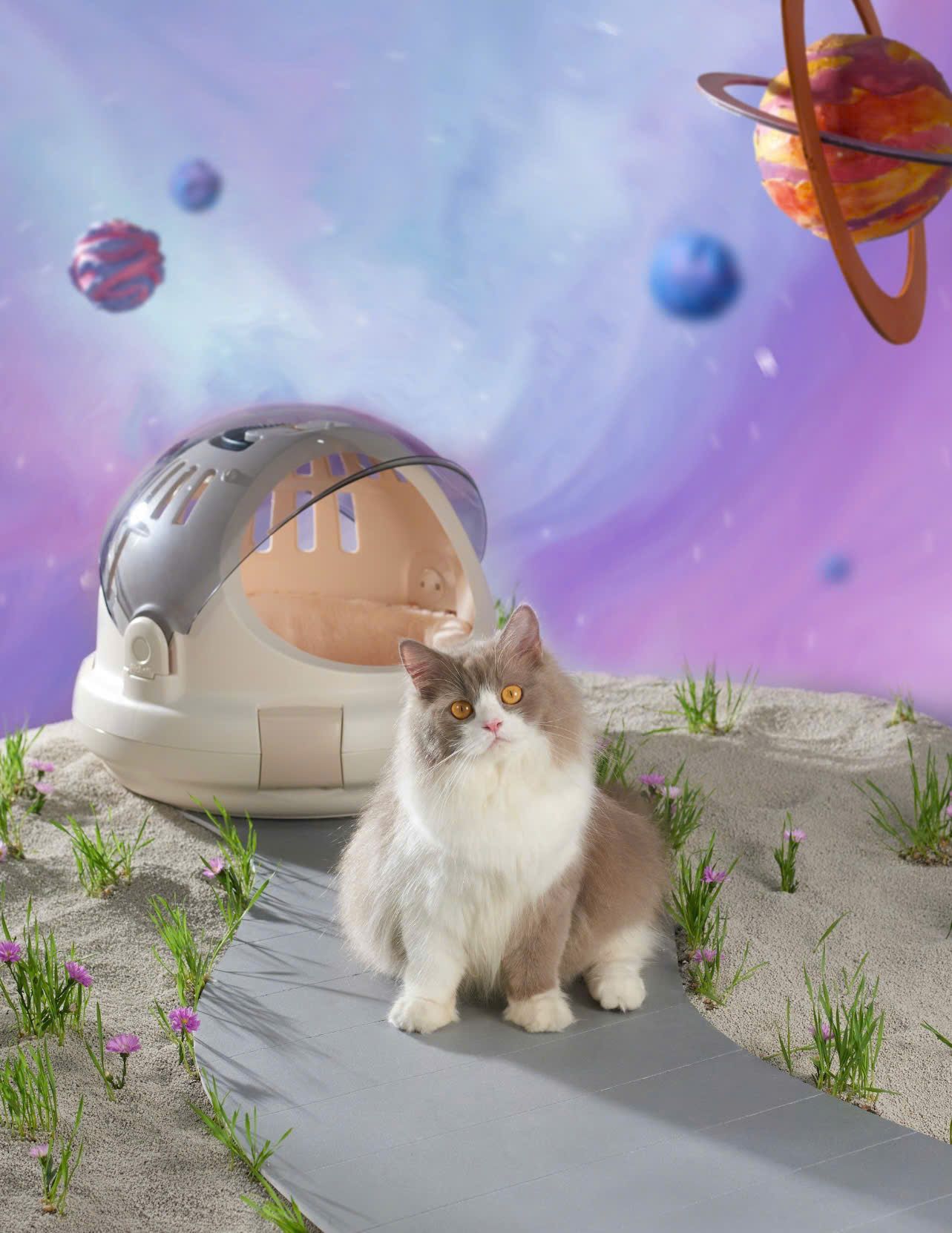  Lồng vận chuyển thú cưng phi hành gia size M Richell 