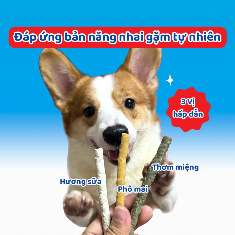  Que dai da bò Doggyman 