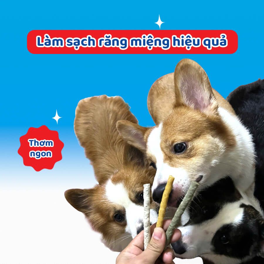 Que dai da bò Doggyman 