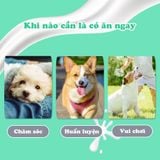  Que gặm sữa dê cho chó Doggyman 60G 