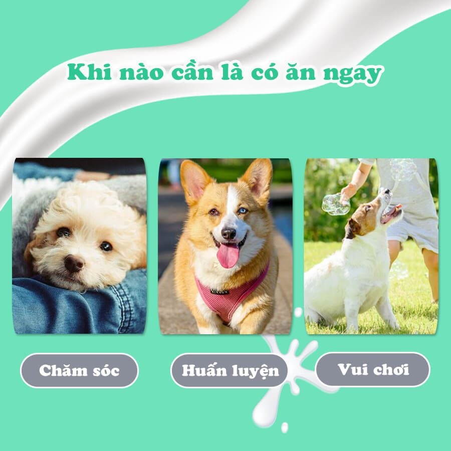  Que gặm sữa dê cho chó Doggyman 60G 