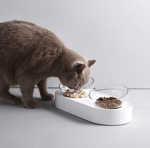  Bát nhựa đôi PetKit 