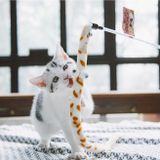  Gậy Chọc Mèo Touchcat 