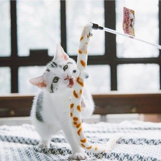  Gậy Chọc Mèo Touchcat 