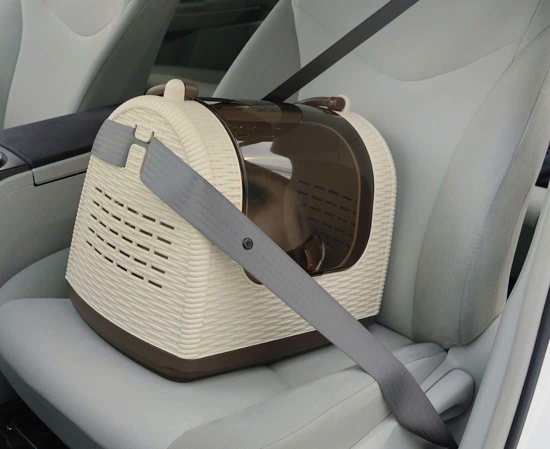  Lồng vận chuyển thú cưng giả mây đan Richell 