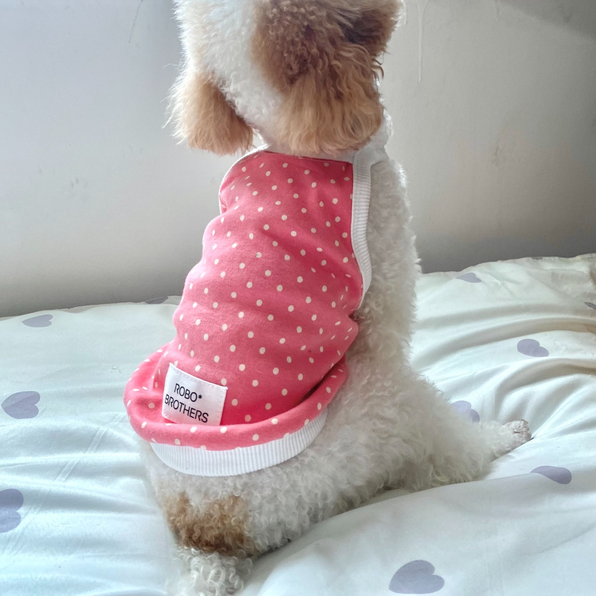  Áo dây DOLLY TOP 2 màu Robo 